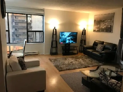 Furnished Downtown Condo – Large Unit w/ Balcony & Stunni Image# 4