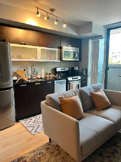 FULLY FURNISHED QUEEN AND DUFFERIN CONDO! 1 BEDROOM 1 BATH! Image# 11