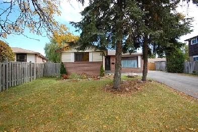 2 Bedrooms Bsmt Apartment, 2 cars parking, Brampton Image# 2