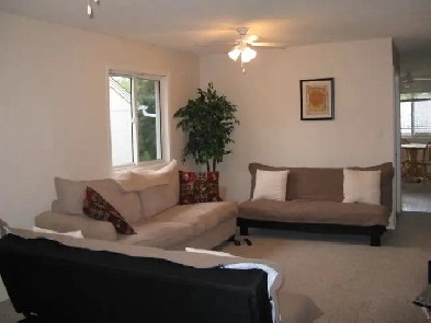 3 Bedroom/2 Full Bath Main Floor near UofA Image# 8