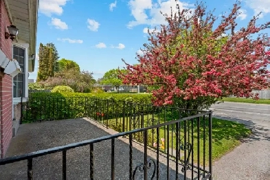 AJAX SEMI-DETACHED BUNGALOW  $739,000! Image# 1