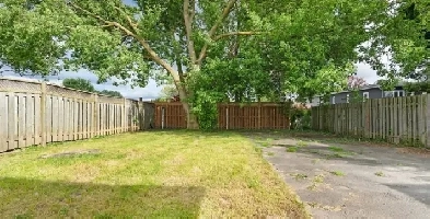 2 Bedroom Basement for Rent Image# 10