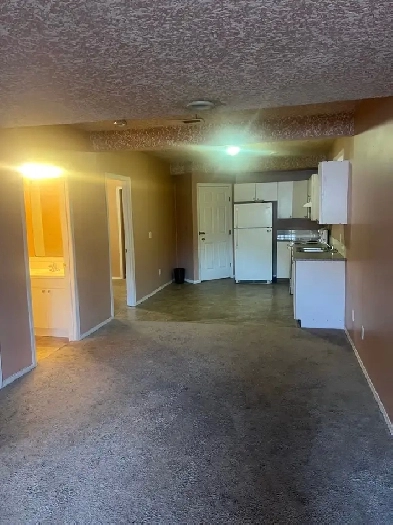 2 bedroom basement for rent in taradale ne Image# 4