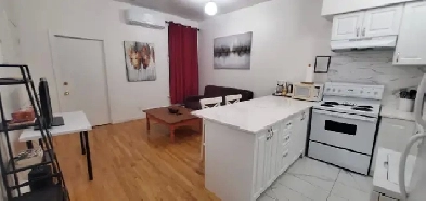 Fully Furnished & Equipped 2-Bed Condo Le Plateau-Mont-Royal Image# 9