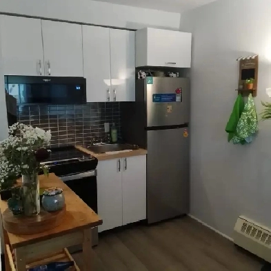 1380$ - 3 1/2 à louer à Ahuntsic / for rent in Ahuntsic Image# 1