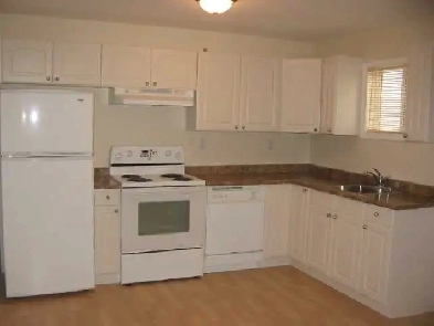 Oct 1 Bright, large 2 bedroom lower unit Image# 1