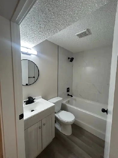 NEWLY RENOVATED 2 BEDROOM 1 BATH BASEMENT SUITE IN NE EDMONTON Image# 4