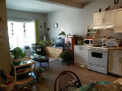 Luxury Modern One Bedroom In Downtown of Markdale Image# 4