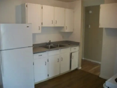 North Shore Two Bedroom Apartment Image# 7