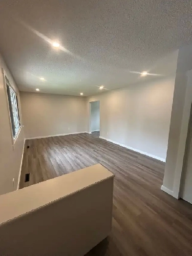 NEWLY RENOVATED 3 BEDROOM 1 BATH MAIN FLOOR IN NE EDMONTON Image# 3