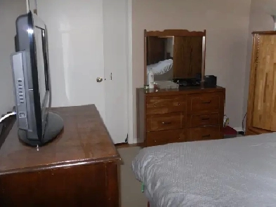 MUST SEE 4 Month Lease Only- Clean Bedroom in Waterloo Image# 1