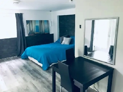 Magnifique loft en nature à deux pas du CHUS et du Centre-ville Image# 2