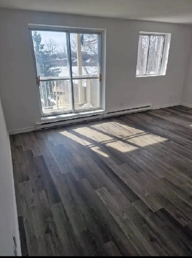 bedroom for rent / chanvre à louer Image# 1