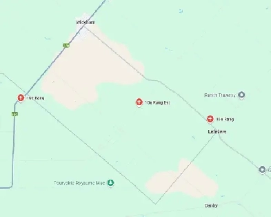 TERRE À BOIS - PRAIRIE À VENDRE - RANG 10 EST WICKHAM 82 ACRES Image# 1