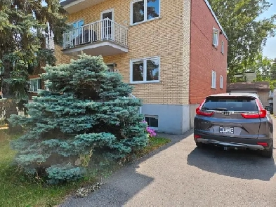 5 1/2 Appartment for rent Image# 1