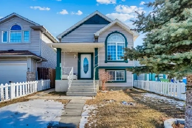 Taradale Bi level with legal basement suite4 bedrooms 2 full bat Image# 8