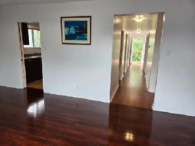 STUDENTS! LARGE 3-bedroom unit on MEADOWLANDS DR. Water INCLUDED Image# 1