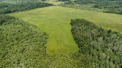 Firefly Lane 160 Acres Image# 6