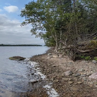 Waterfront Property Image# 1