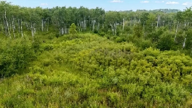 29 Cyrus Lane 2 Acres Image# 3