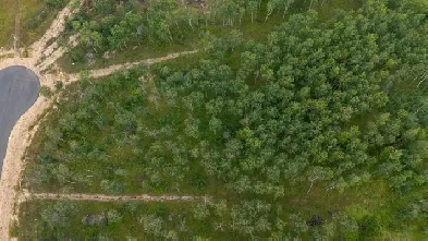 22 Cyrus Lane 2 Acres Image# 3