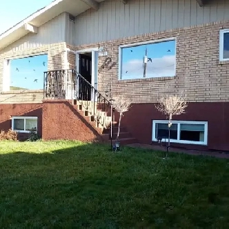 WALK TO GYRO BEACH, KGH, MISSION PARK , OUC, IT'S ALL HERE! Image# 1