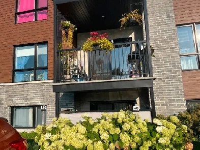Appartement 41/2 à louer, construction récente Image# 4