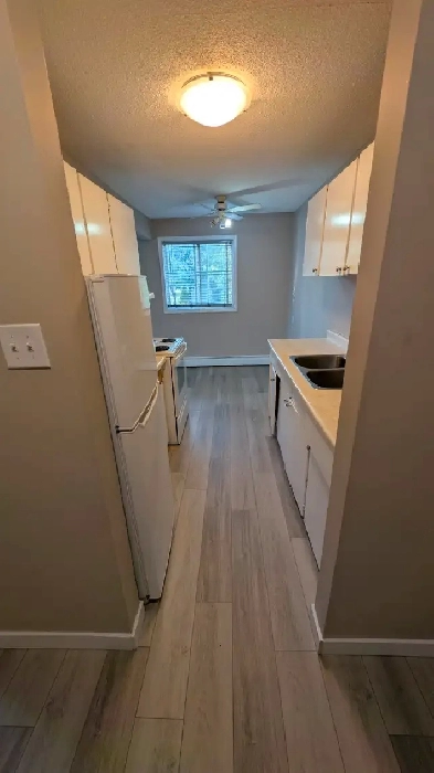 Spacious 2 Bed 2 Bath Apartment for Rent - Edmonton Image# 8