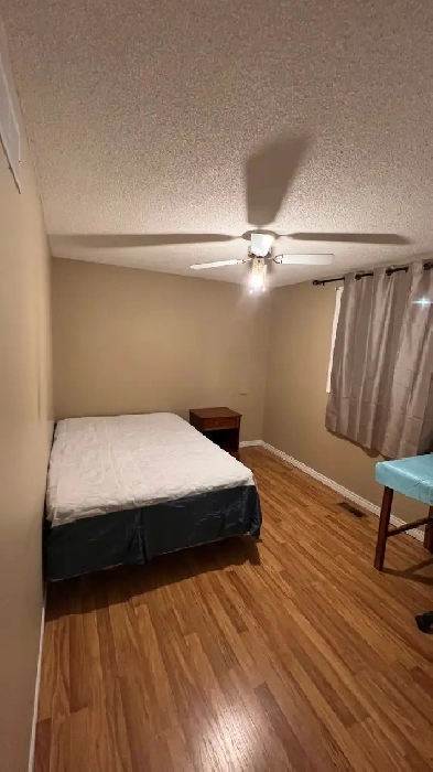 Rooms for Rent Image# 4