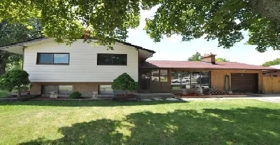 LARGE Room for Rent - FEMALE Only - Mohawk College Area - Sep 1 Image# 2