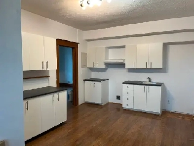 Très grand et lumineux 4 ½  850 $ Image# 2