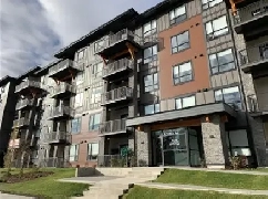 Luxury Apartment available Image# 10