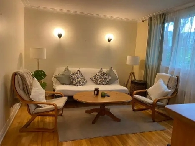 TRÈS GRAND 3 ½  MEUBLÉ ET COMPLÈTEMENT RENOVÉ Image# 2