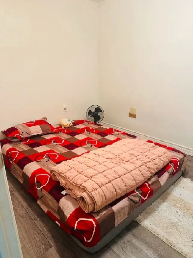 Basement for rent, near Humber College, in Etobicoke ON. Image# 5