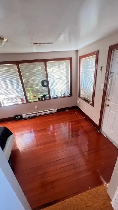 Room for Rent Image# 1