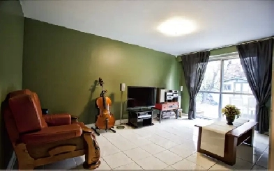 Main floor Studio for rent in Thornhill Image# 1