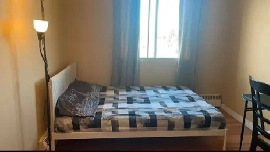 Cozy Room for Rent Image# 1