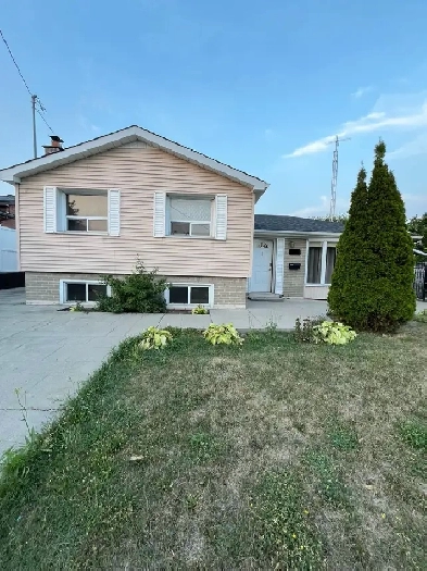 House for rent Image# 5