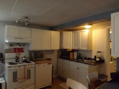 One bedroom walkout basement apartment Image# 2