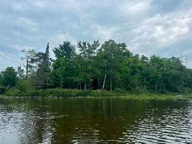 VACANT LAKEFRONT BUILDING LOT FOR SALE ON BUCKSHOT LAKE Image# 18