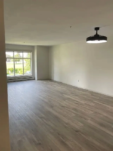 Beautiful Apartment Image# 5
