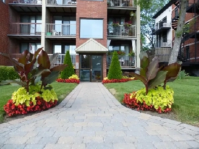 Ahuntsic grand 3 1/2 Appartement rénové style condo Image# 6