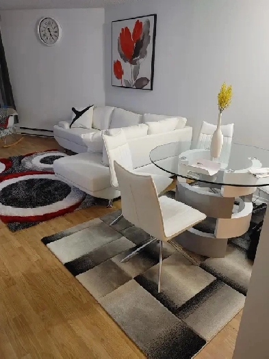 3/12 meublé tout inclus Image# 7