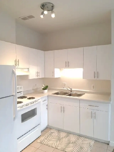 Bright Modern 2 Bedroom - Excellent Central Location Image# 1