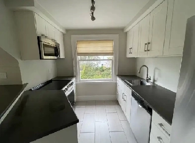 3bed 1.25 bath renovated large private suite Image# 1