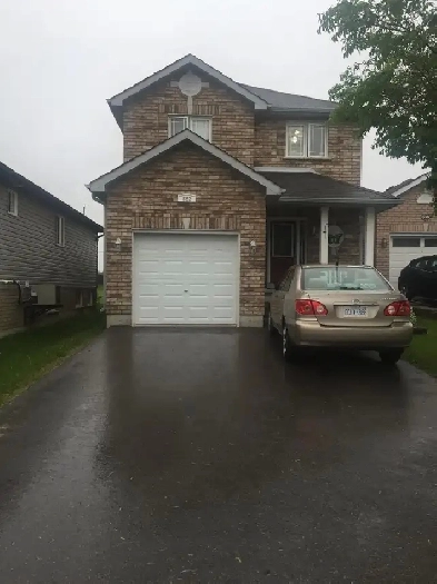 Room for Rent Image# 1