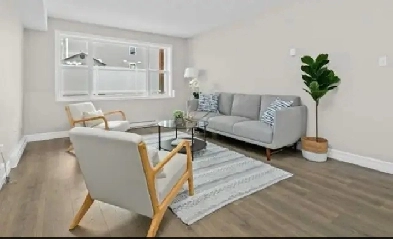 2 Bed 1 Bath Apartment for Rent Image# 5