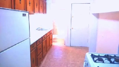 (DOWNTOWN) a Furnished Spacious 2-Bedrom apartment! Image# 1