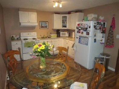 2 Bed Plus Den Basement Suite in Ottewell Image# 1