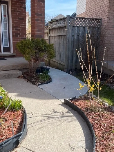 Room for rent - students Image# 1